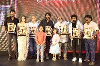 Naa Saami Ranga Movie Success Celebrations Photos